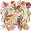 70 Pack Sea Shells Collection