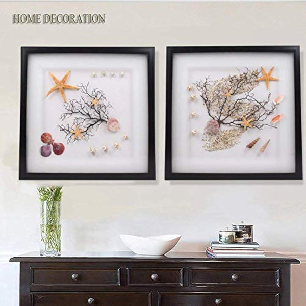 70 Pack Sea Shells Collection