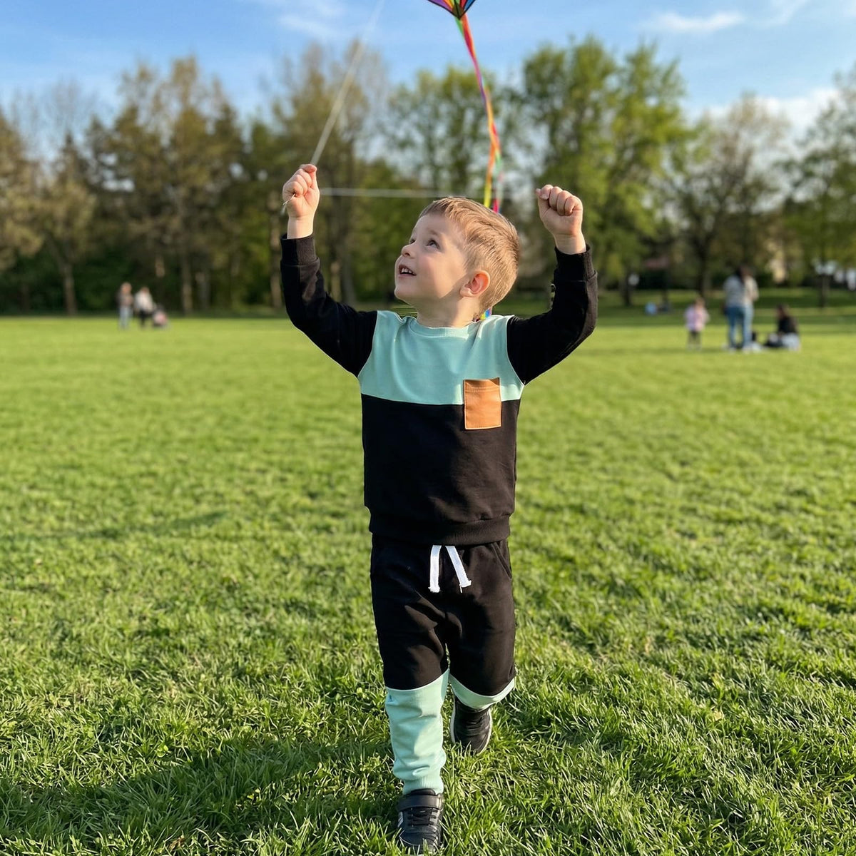 Toddler Color Block Sweatshirt and Jogger Set in Mint and Black